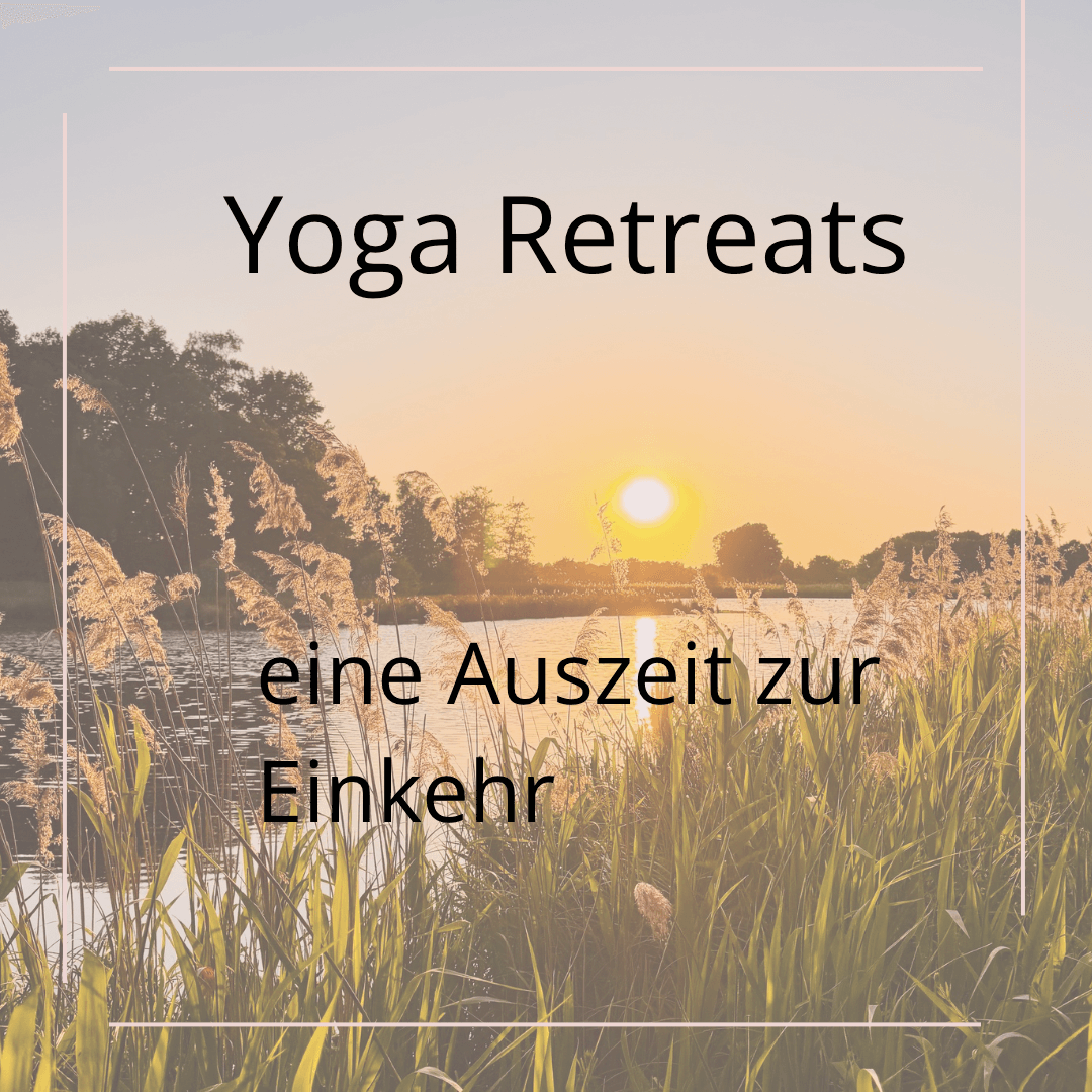 yogareatreat Egmond